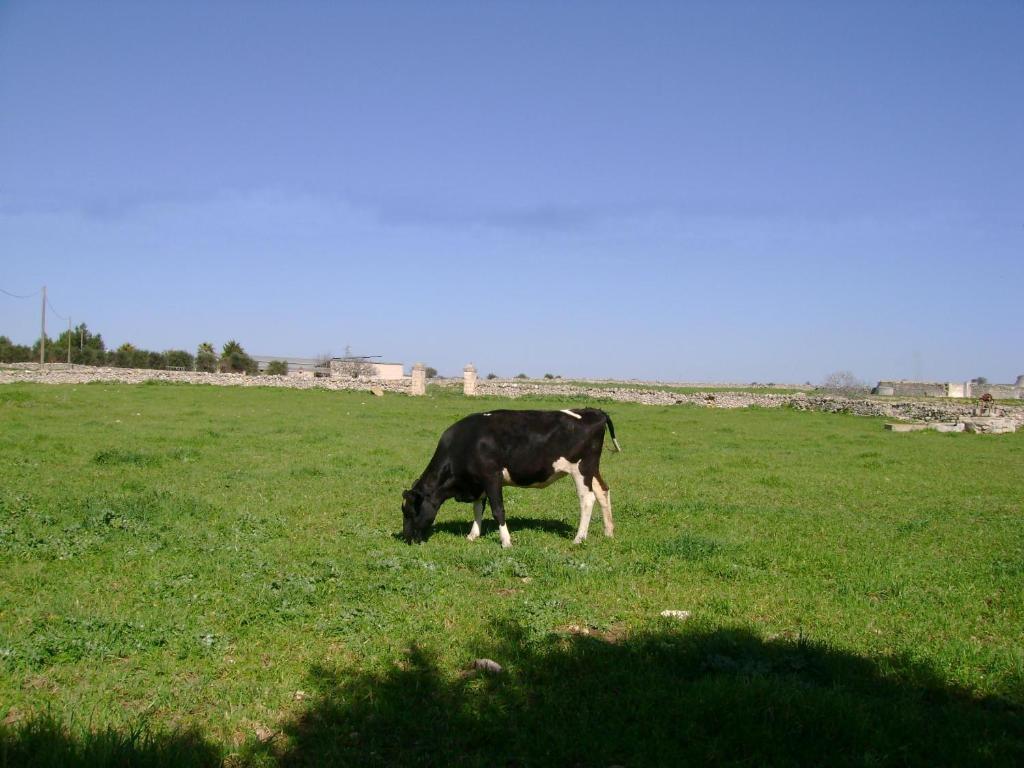 Masseria Cassiere Mottola Exterior photo
