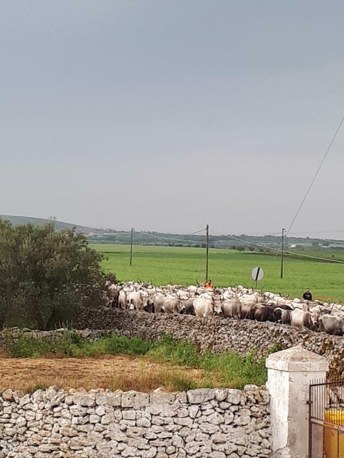 Masseria Cassiere Mottola Exterior photo